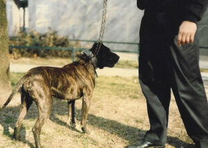 Personal photographs: childhood to the 2000s — image 36